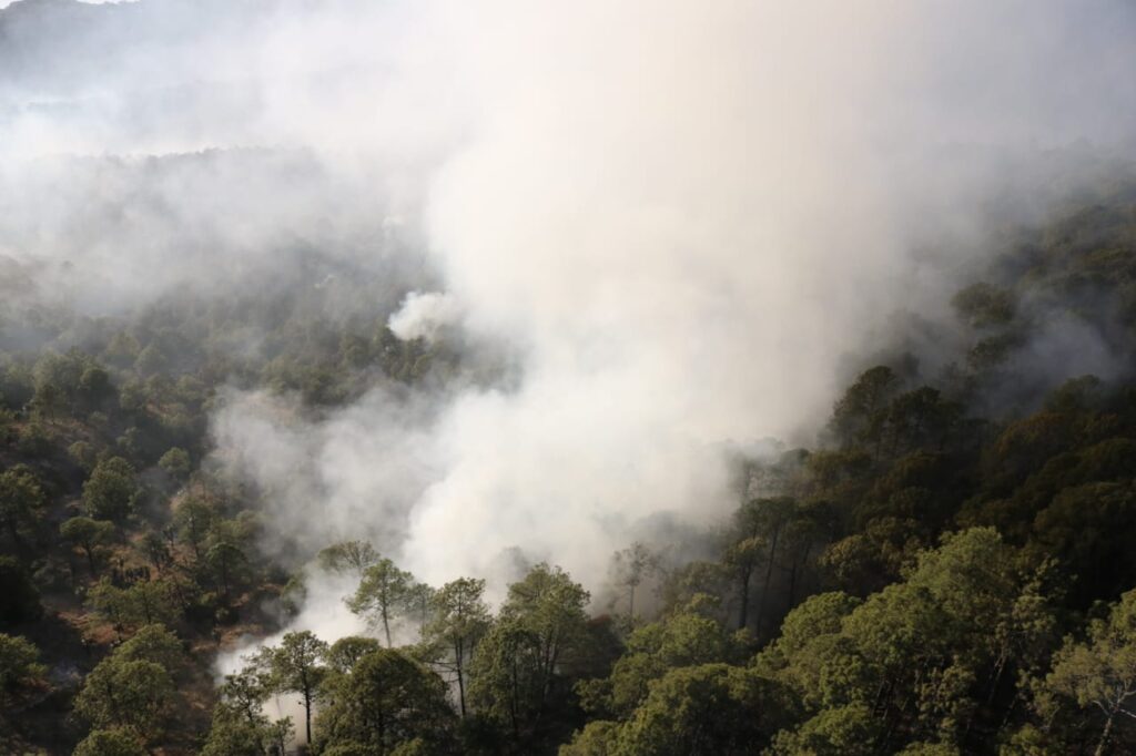 Incendios 