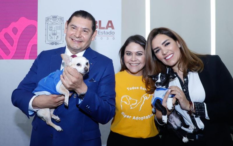 Bienestar Animal y municipios trabajan para proteger a seres sintientes