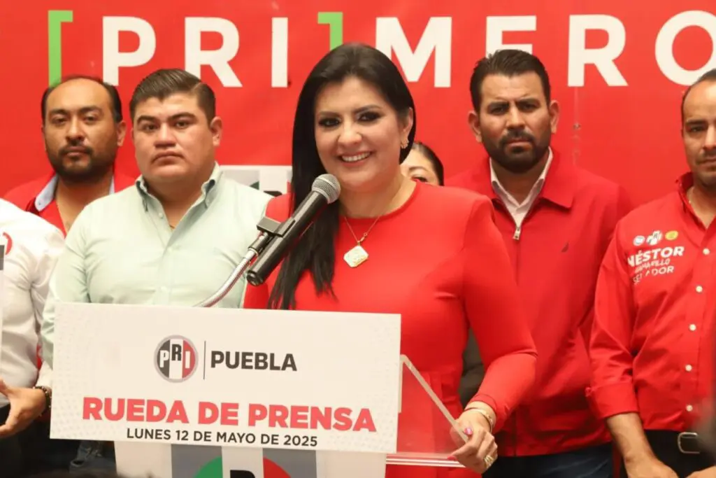 Morena pregona una falsa austeridad: Delfina Pozos